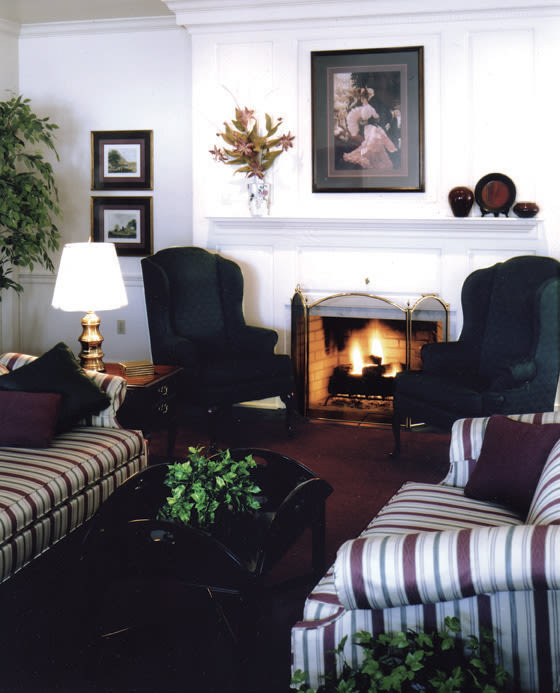 Cozy living room with fireplace and armchairs