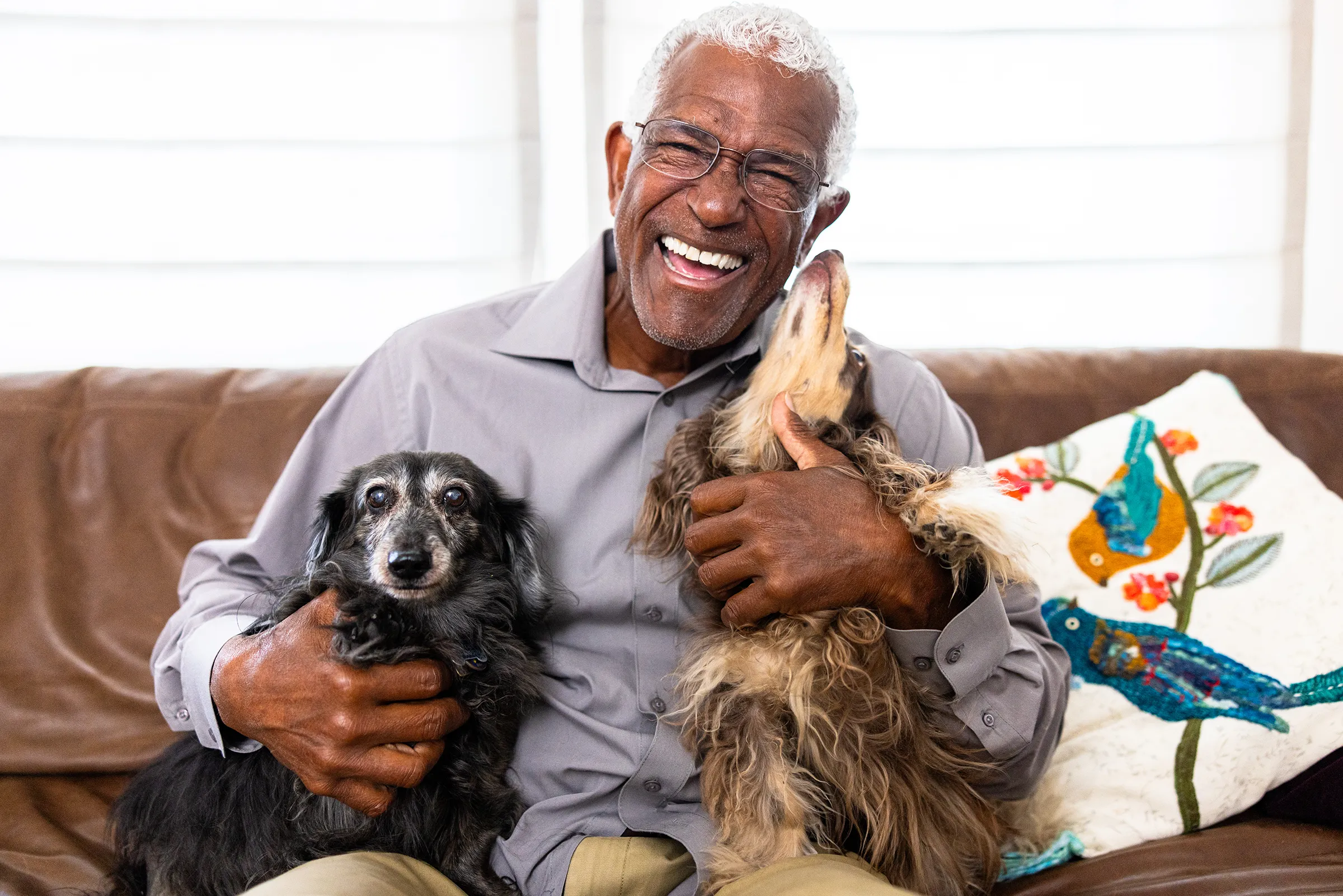 Smiling elderly man cuddling two small dogs