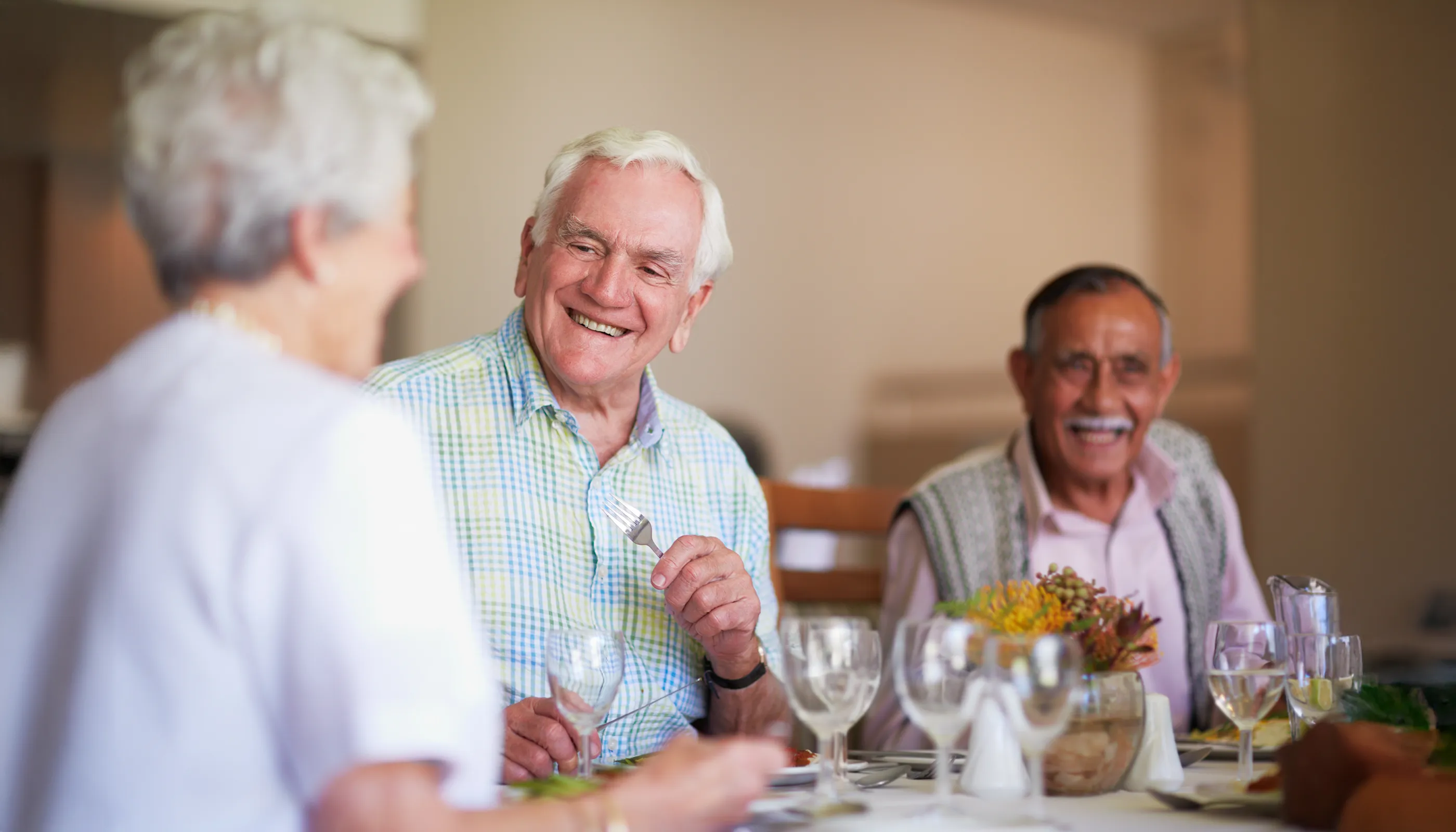 Elderly friends smiling during dinner at dining table